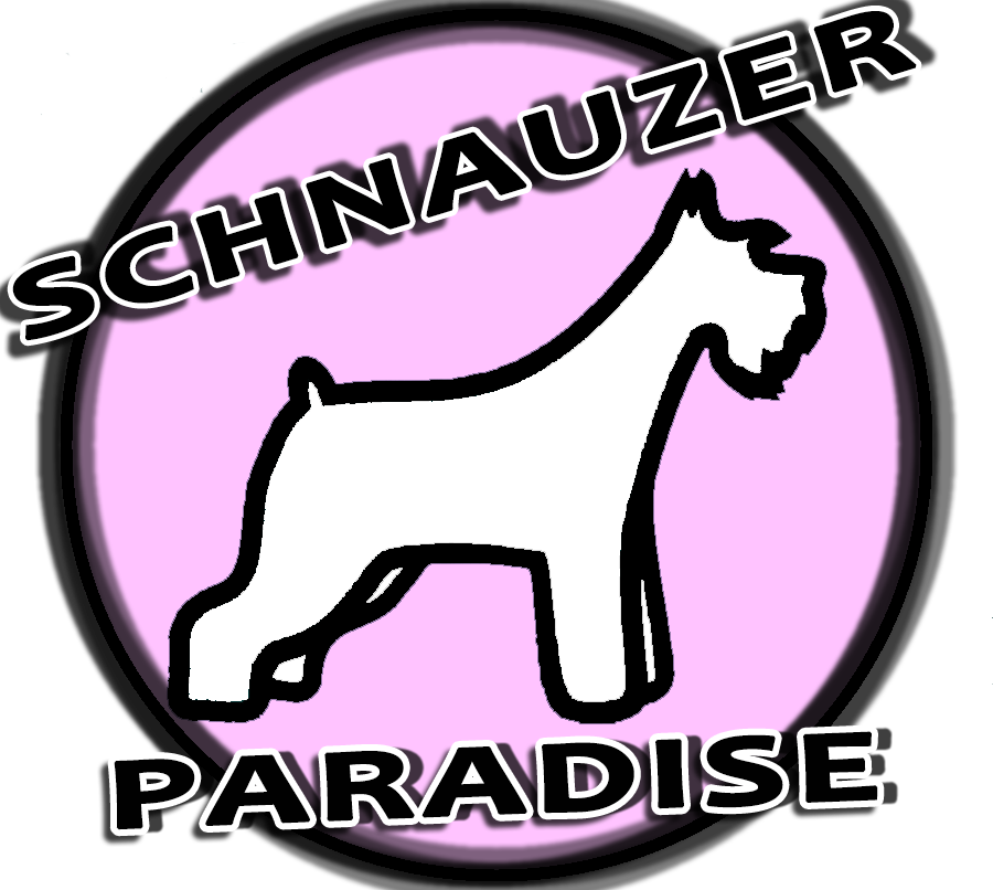 Schnauzer Paradise Pink Logo